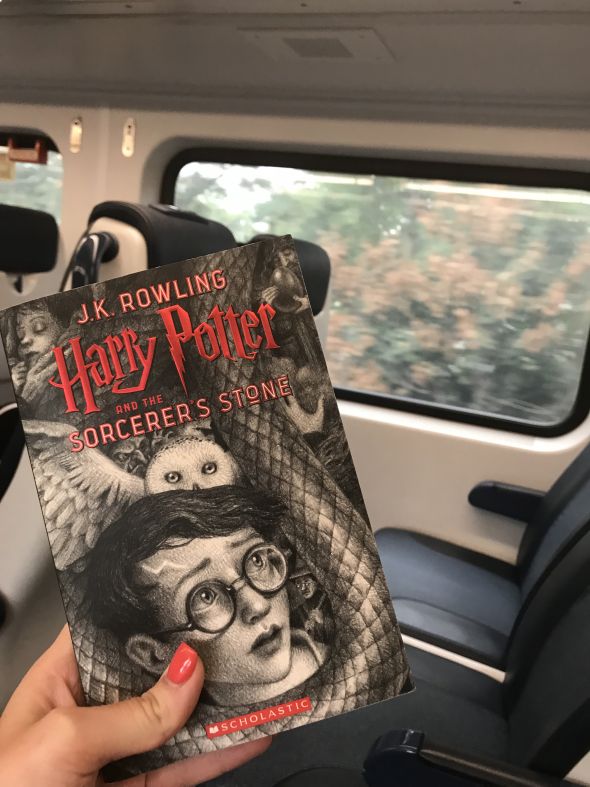Our Blogger Goes Back To Hogwarts On Minds - Harry Potter Back Seat Covers